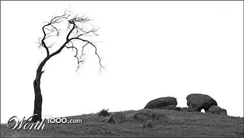 Photography by smylie