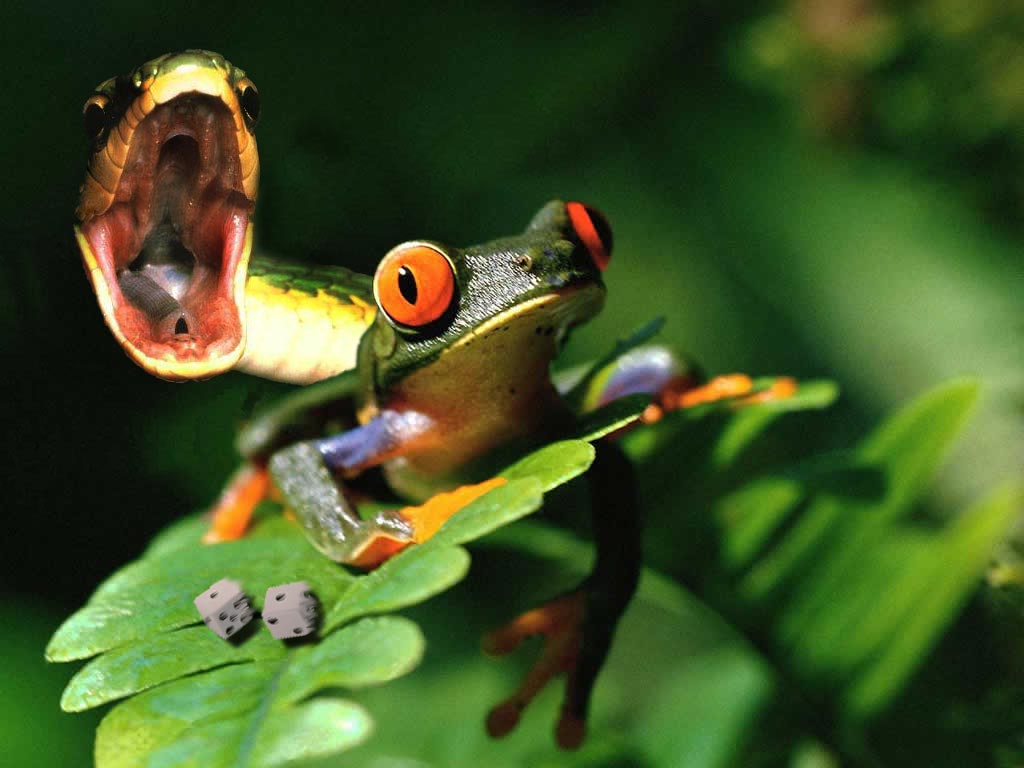 Photoshop Design by chaoxieyuan for DesignCrowd (Community Contests) | Design #9089076