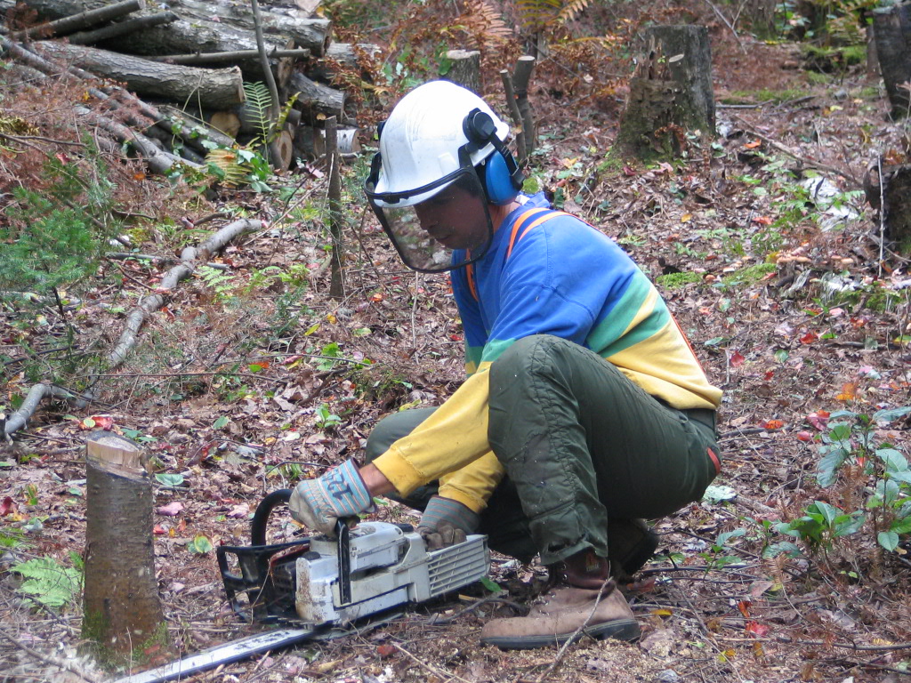 Photography by Djinny for DesignCrowd (Community Contests) | Design #9089794