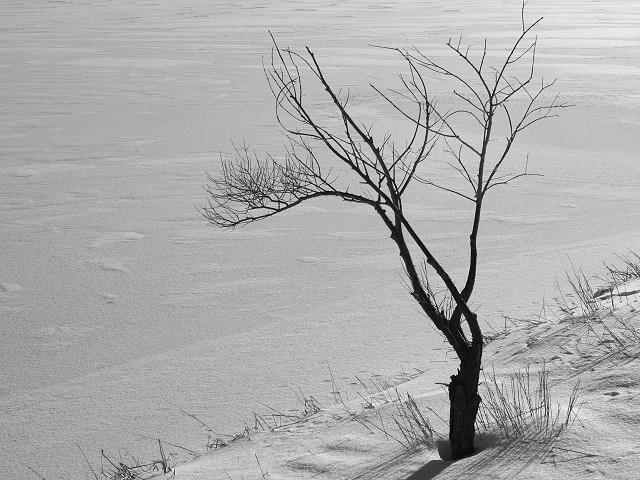 Photography by KarenC for DesignCrowd (Community Contests) | Design #9085738