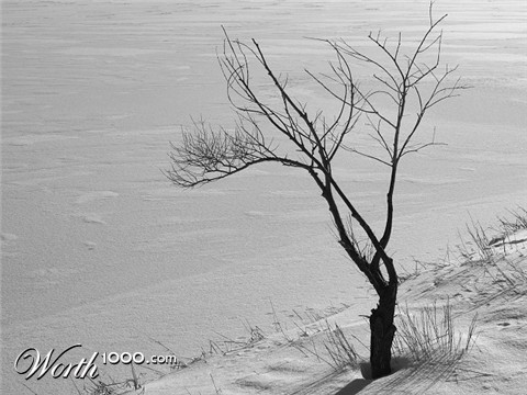 Photography by KarenC