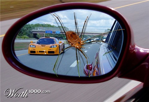 Photoshop Design by lilhorseebabee