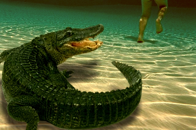 Photoshop-Design von LokSenAn für DesignCrowd (Community Contests) | Design #9092904