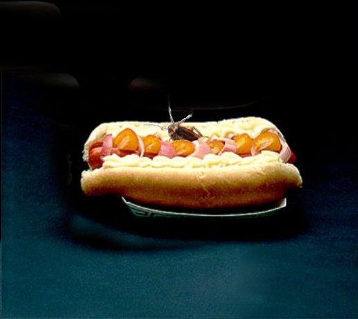 Photoshop Design by yavannilde for DesignCrowd (Community Contests) | Design #9092841