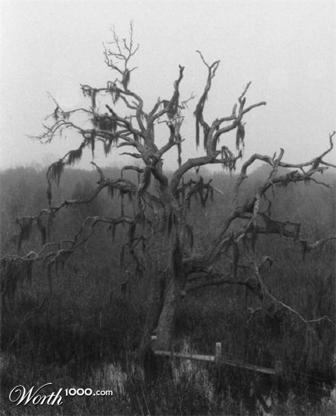 Photography by tgimages