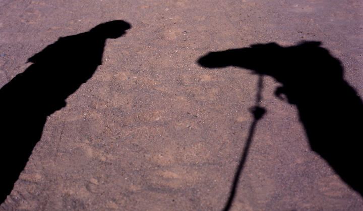 Photography by SamHuibers for DesignCrowd (Community Contests) | Design #9088495