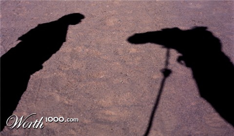 Photography by SamHuibers