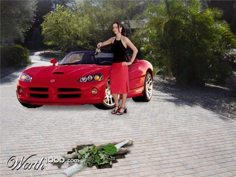 Photoshop Design by nova22