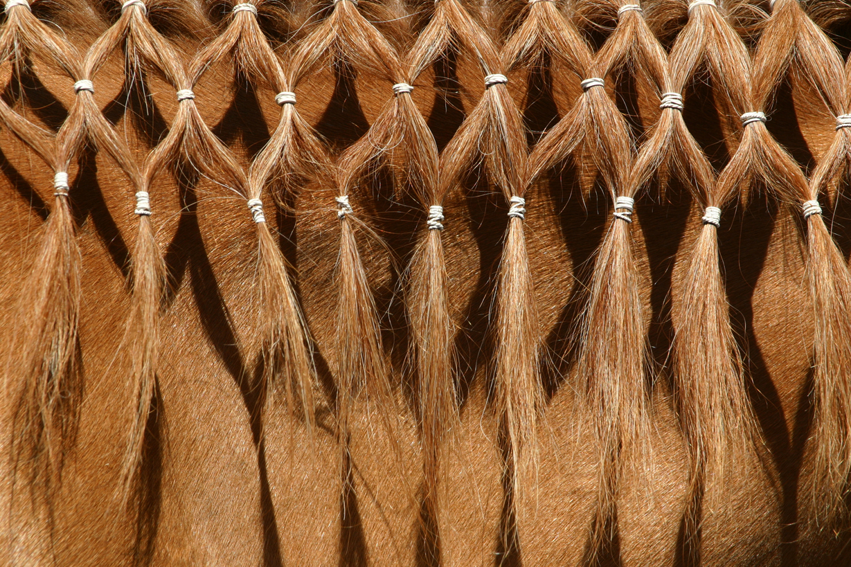 Photographie par advance2 pour DesignCrowd (Community Contests) | Design #9088499