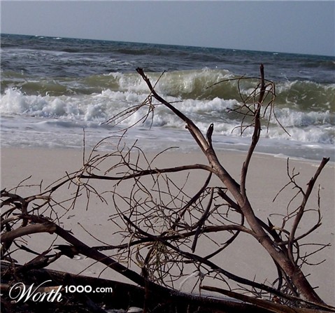Photography by crzyme