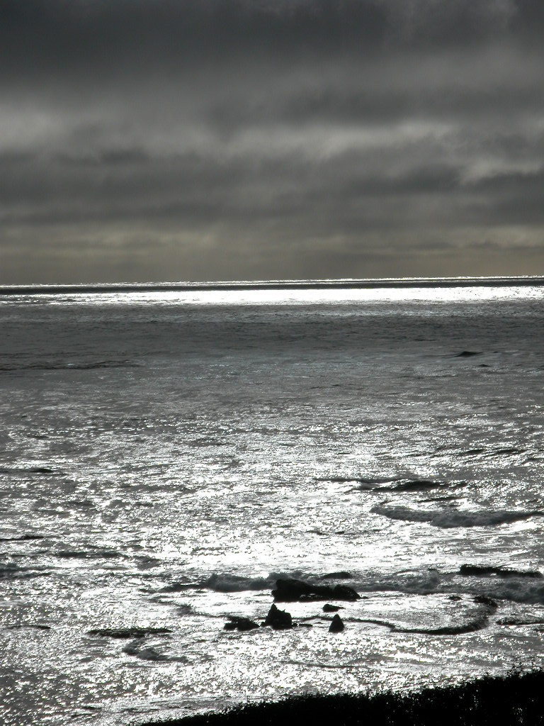 Photography by Seadiver for DesignCrowd (Community Contests) | Design #9085784