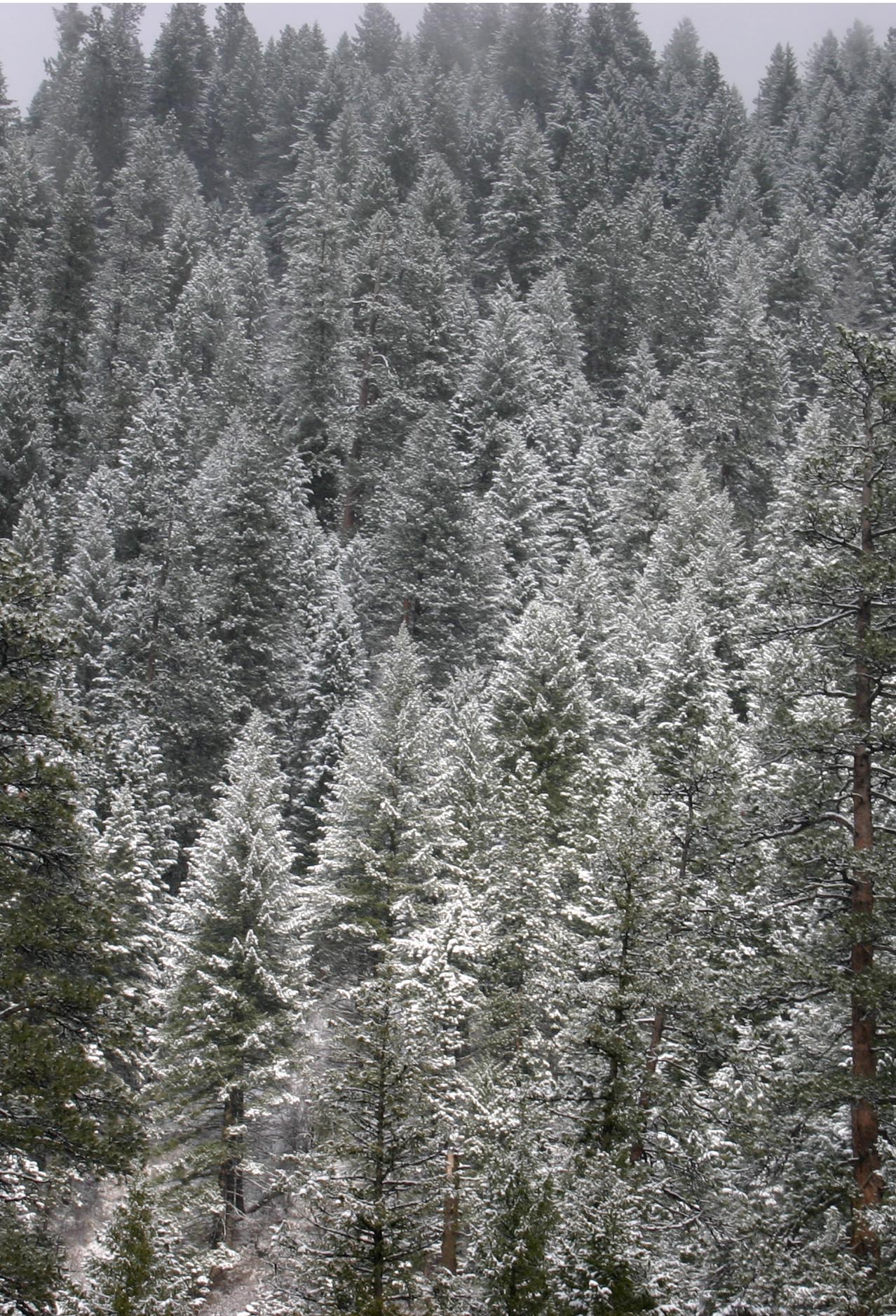 Photographie par rdchdwck pour DesignCrowd (Community Contests) | Design #9085791