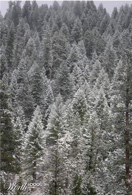 Photography by rdchdwck