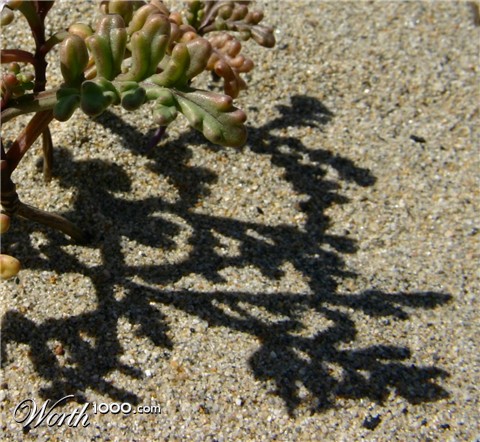 Photography by rdchdwck