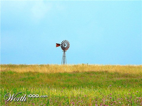 Photography by Cicee16