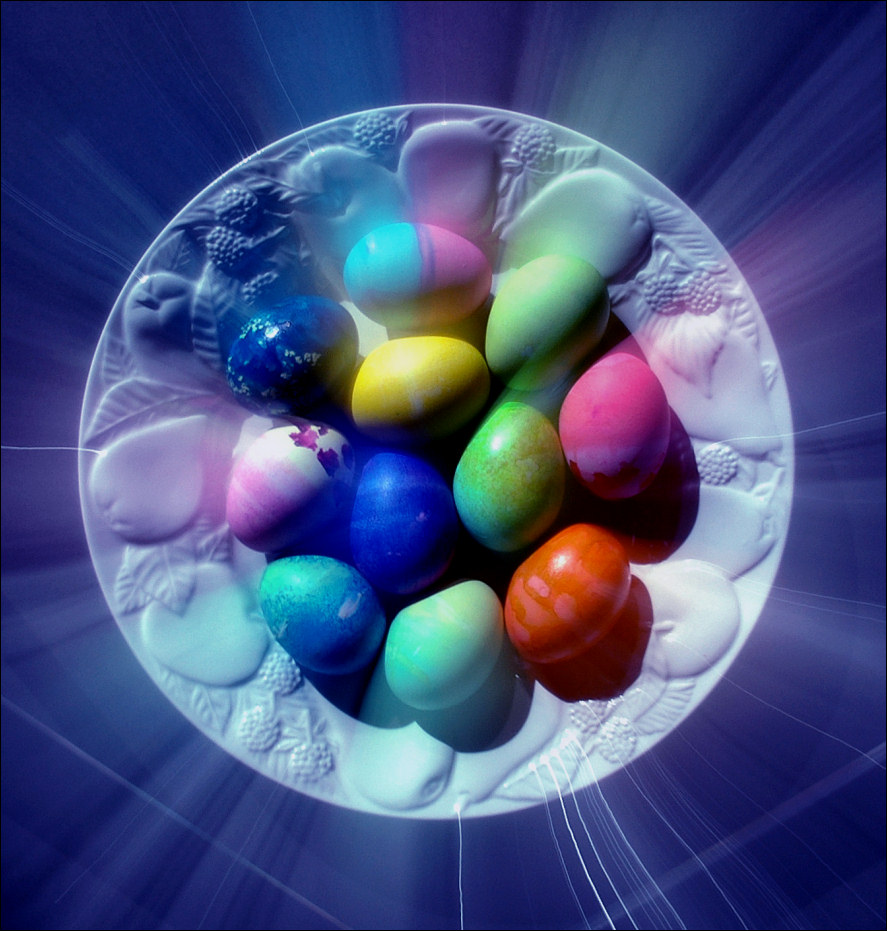 Photography by koalachimbo for DesignCrowd (Community Contests) | Design #9090008