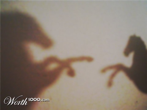 Photography by Mandirio