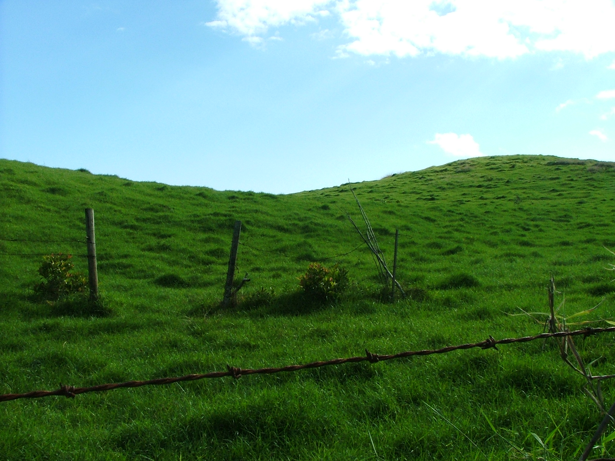 Photography by djcollabo for DesignCrowd (Community Contests) | Design #9085899