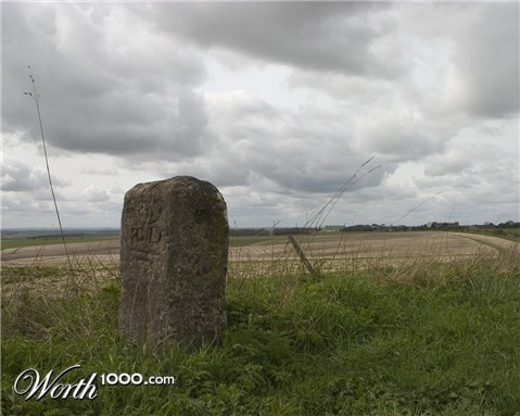 Photography by Dragon60