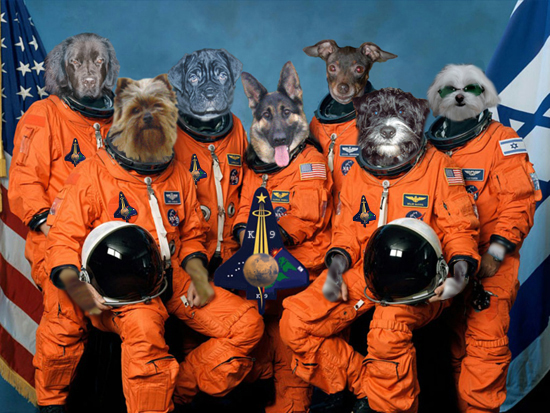 Photoshop Design by Ron Miller for DesignCrowd (Community Contests) | Design #9069142