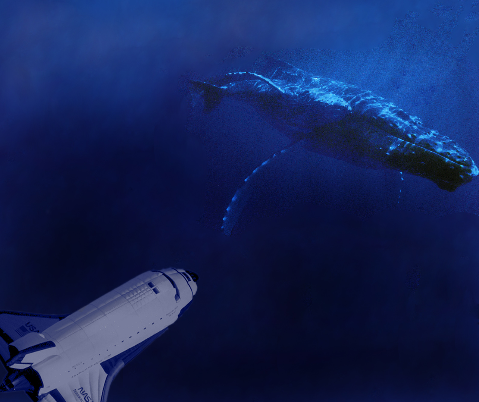 Photoshop Design by Drazen for DesignCrowd (Community Contests) | Design #9090934