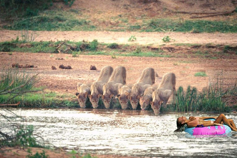 Photoshop Design by JoeyGio for DesignCrowd (Community Contests) | Design #9090954