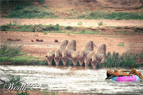 Photoshop Design by JoeyGio