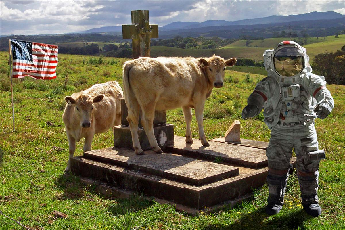 Photoshop Design by ozplasmic for DesignCrowd (Community Contests) | Design #9090938