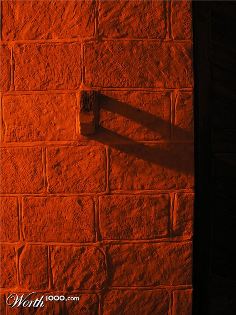 Photography by artissa