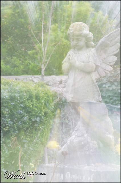 Photography by devilgas