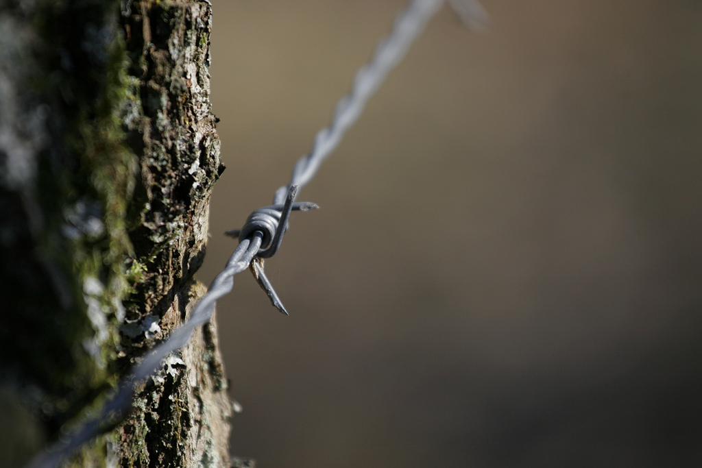 Photography by itzhak for DesignCrowd (Community Contests) | Design #9088209