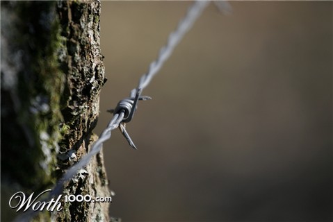 Photography by itzhak