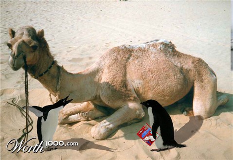 Photoshop Design by jorgeaarias