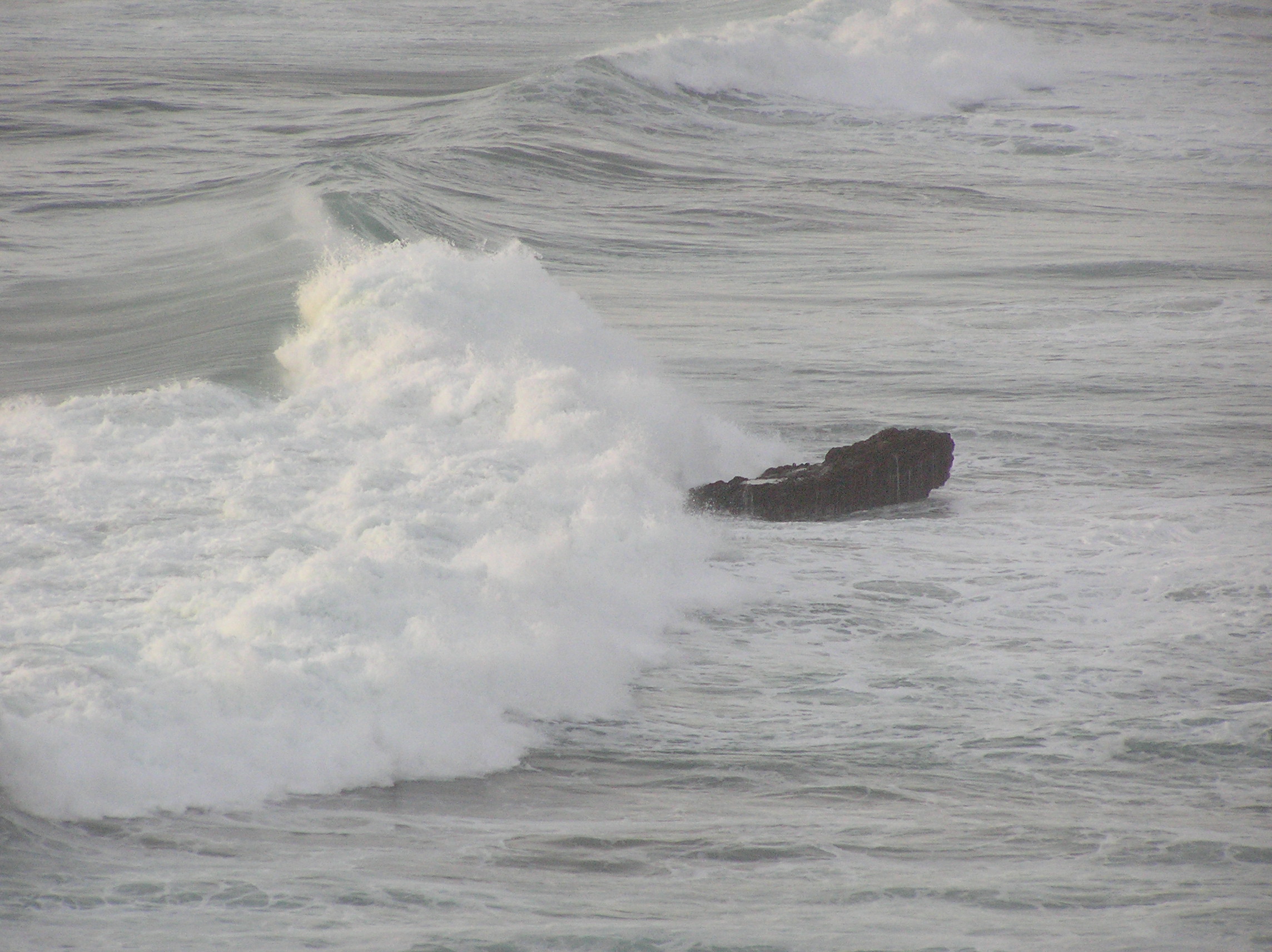 Photography by marygoodwater for DesignCrowd (Community Contests) | Design #9086245