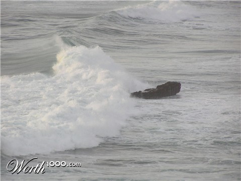 Photography by marygoodwater