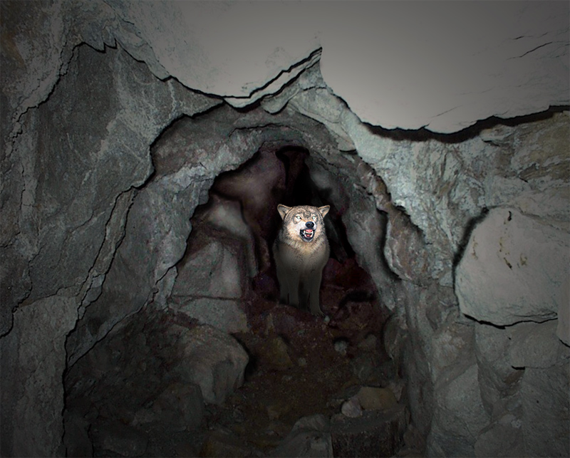 Design Photoshop par motorhead pour DesignCrowd (Community Contests) | Design #9090983