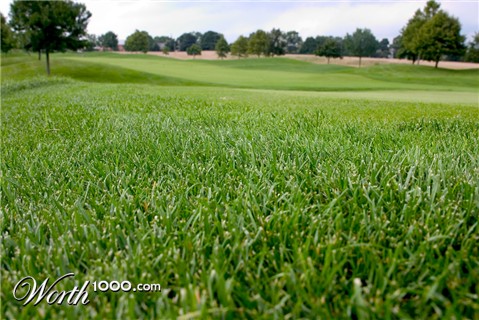 Photography by advance2