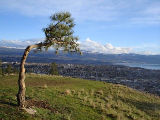 Photographie par niibiishan pour DesignCrowd (Community Contests) | Design #9086170