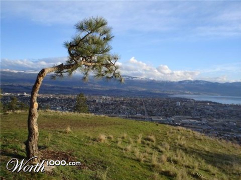 Photography by niibiishan