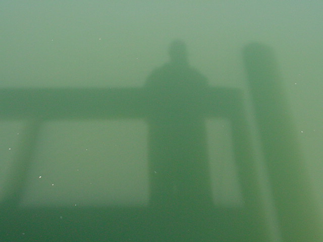 Fotografía por tweetybirdfan222 para DesignCrowd (Community Contests) | Diseño #9088578