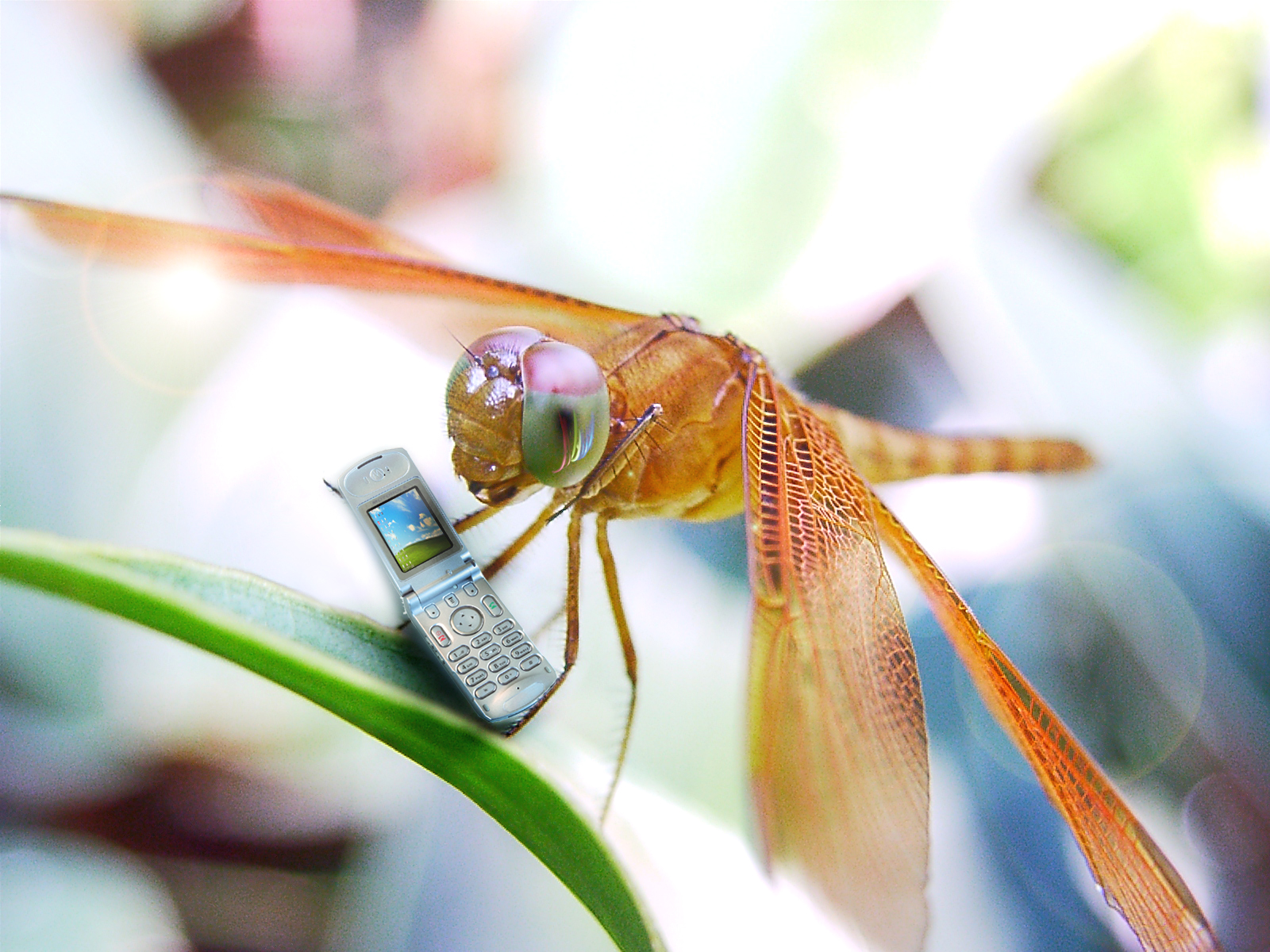 Photoshop-Design von spiderkitten für DesignCrowd (Community Contests) | Design #9069320