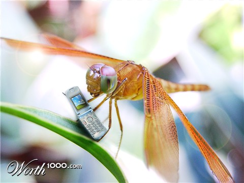 Photoshop Design by spiderkitten