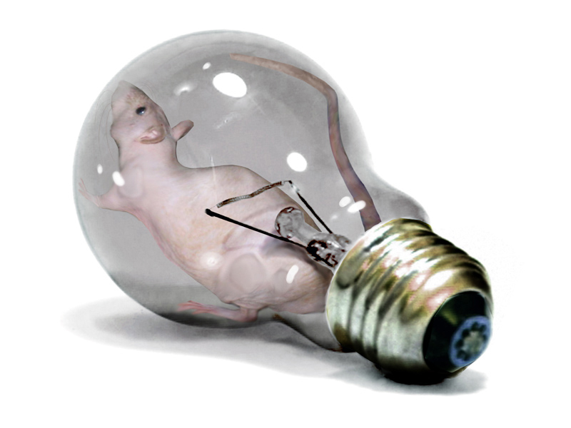 Design Photoshop par DestinationCreation pour DesignCrowd (Community Contests) | Design #9091064