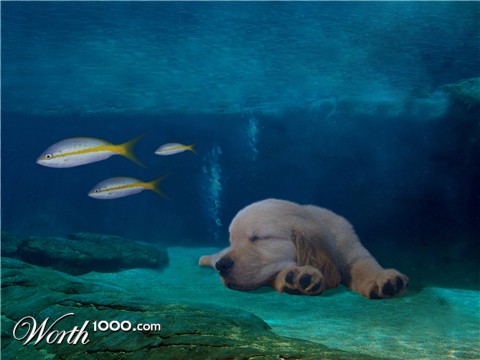 Photoshop Design by sherif1000