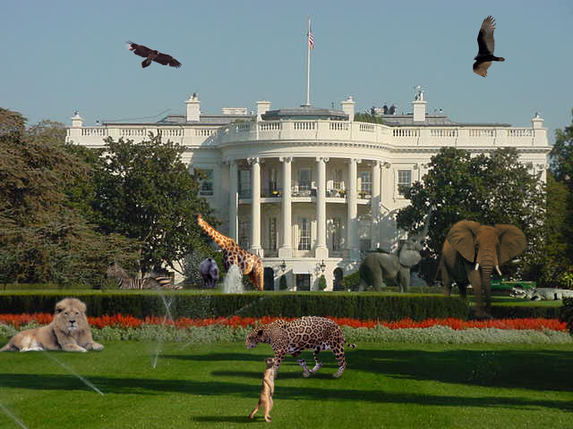 Photoshop Design by hlrossano for DesignCrowd (Community Contests) | Design #9091127