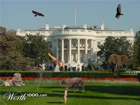 Photoshop Design by hlrossano