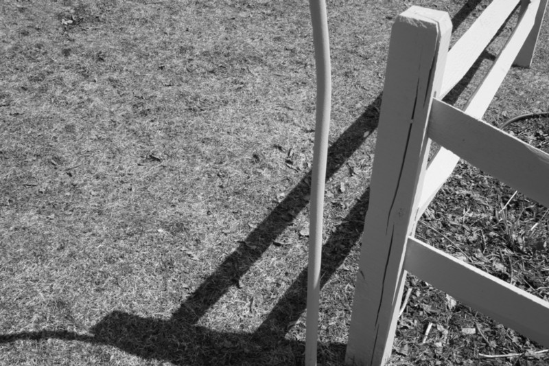 Photography by ozzy11340 for DesignCrowd (Community Contests) | Design #9088621