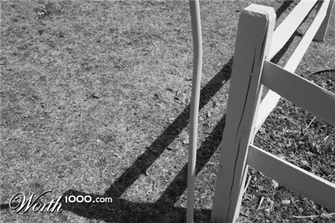 Photography by ozzy11340