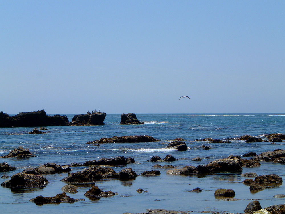 Photographie par Seabrook pour DesignCrowd (Community Contests) | Design #9085998