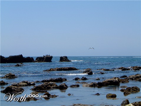 Photography by Seabrook